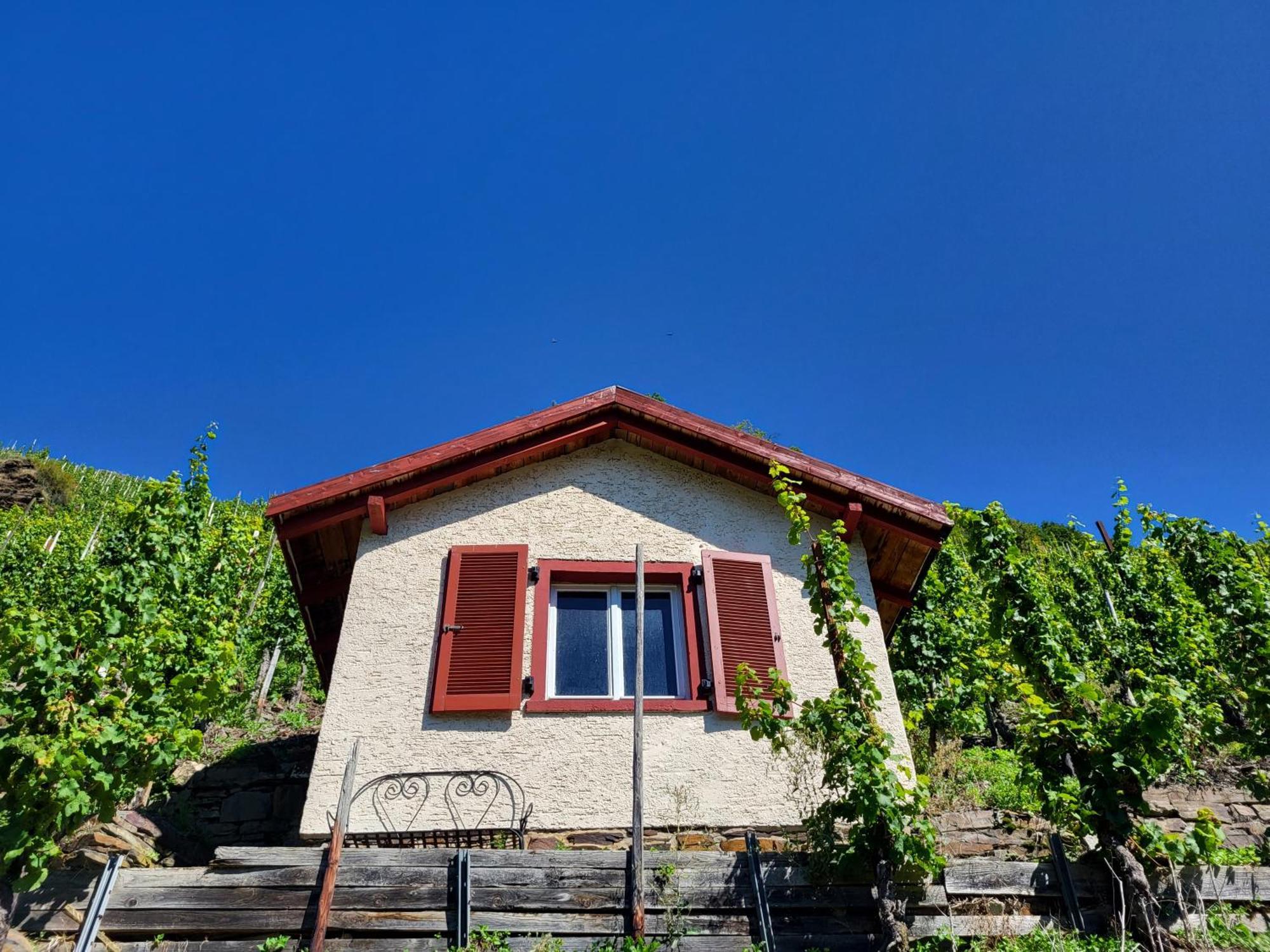 Ferienhaus-Am-Alten-Stadttor エディガー・エラー エクステリア 写真